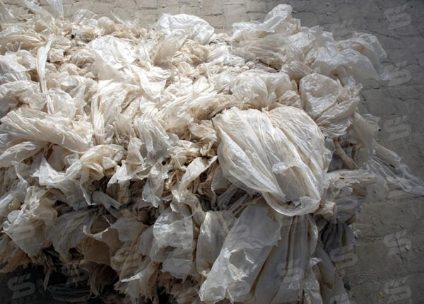 1616725755694039.jpg 廢膜1.jpg